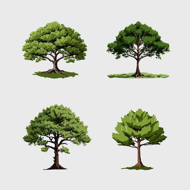 trees vector illustration