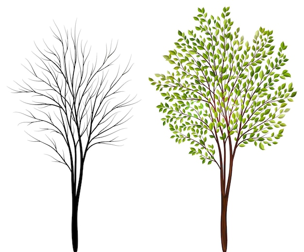 Trees on white background vector