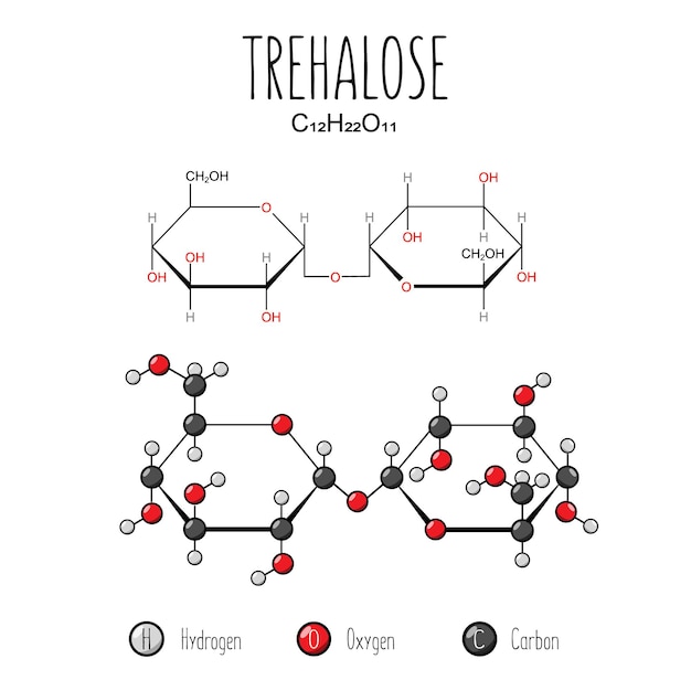 Vector trehalose-weergave skeletformule en 2d-structuurillustratie webstijlillustratie bewerkbare vector