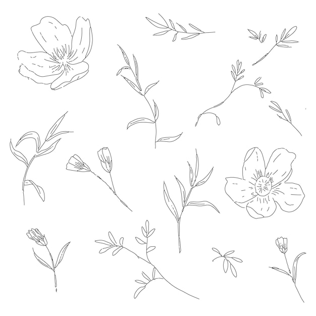 Trendy collection of hand drawn line art floral element with cherry blossom leaves