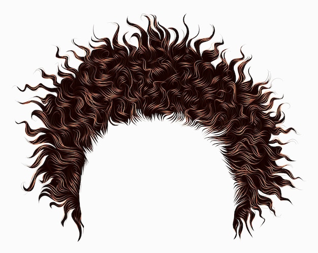 Вектор Модные кудрявые растрепанные африканские каштановые волосы. реалистичный 3d.