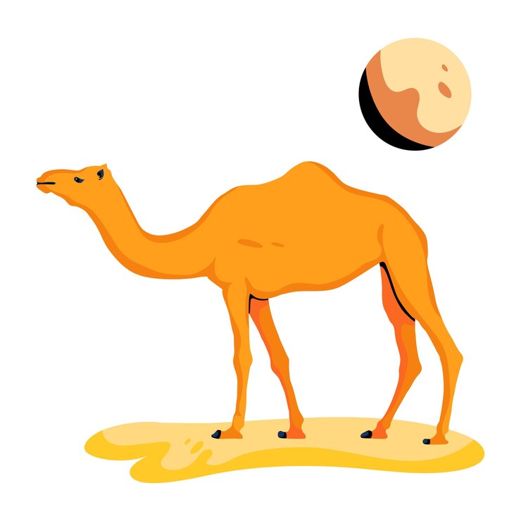 Vector trendy flat icon design of camel