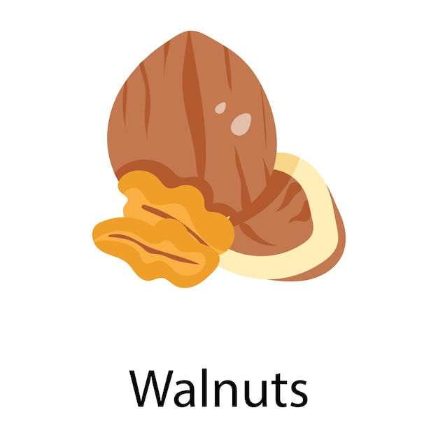 Vector trendy hand drawn icon of walnuts