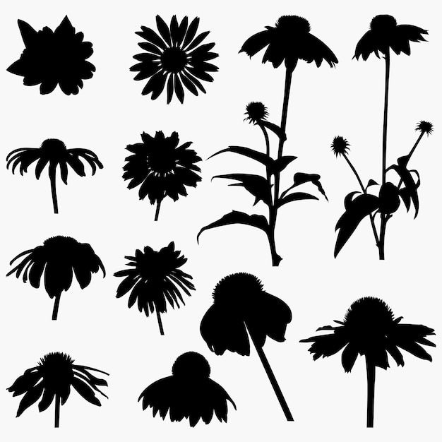 Vector trendy modern silhouettes coneflower