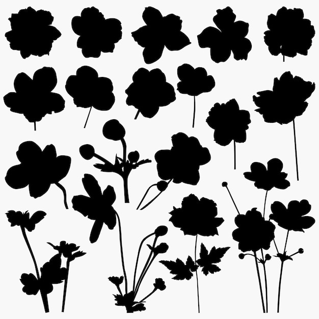 Trendy modern silhouettes japanese anemone flower