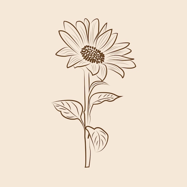 Vector trendy modern silhouettes sunflower