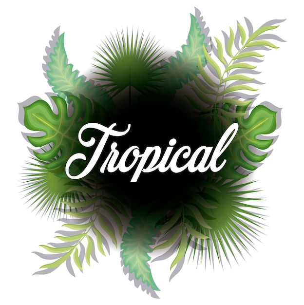 Vector trendy summer tropical leaves banner