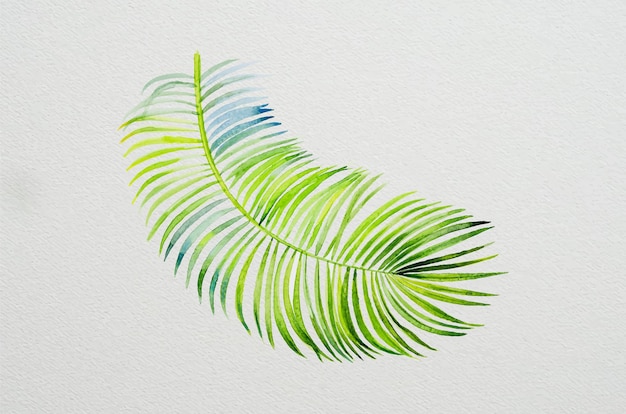 Trendy summer tropical leaves of palm watercolor painting on paper the tropical foliage