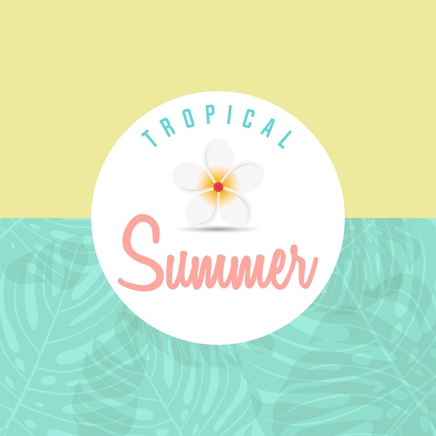 Vector trendy summer tropical leaves