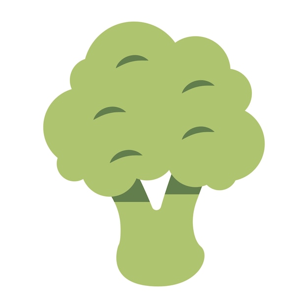 Trendy vector design of broccoli