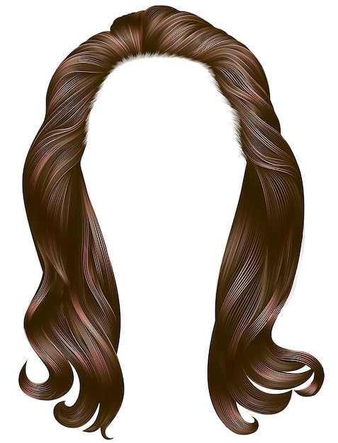 Vettore capelli lunghi donna alla moda marrone colors.beauty moda. grafica realistica 3d