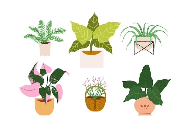 Trendy woondecoratie met planten cactus philodendron monstera tropische bladeren plantenbakken en potten