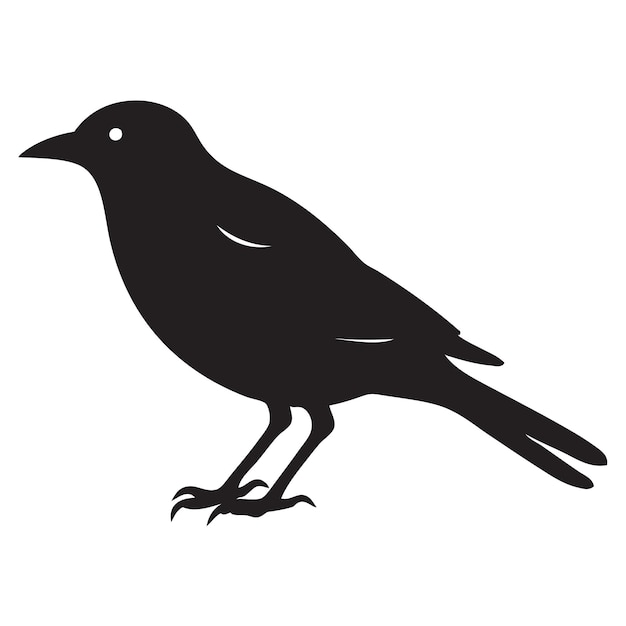 Common blackbird Silhouette , flock of birds transparent background PNG  clipart | HiClipart