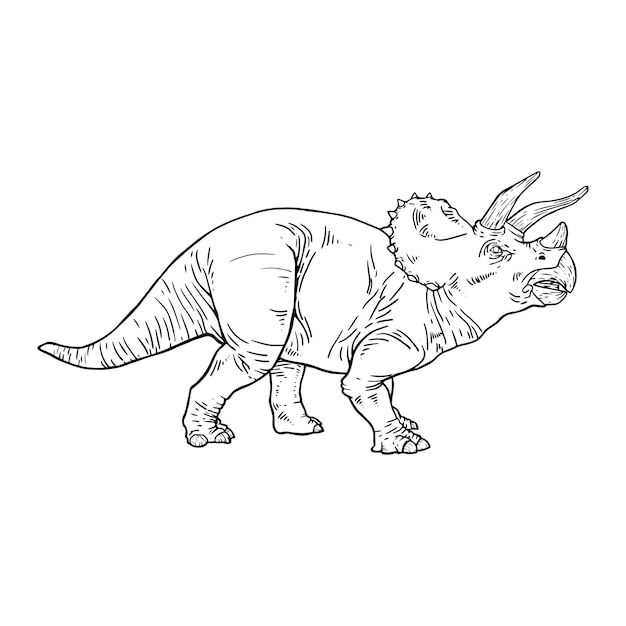 Triceratops line art Dinosaur coloring page Triceratops black and white