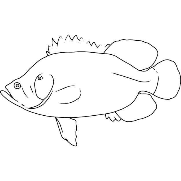 Tripletail Hand sketched hand drawn vector clipart