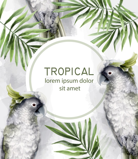 Tropic kaart aquarel