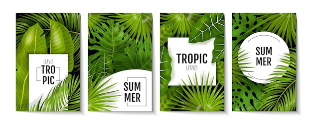 Tropic laat posters achter. Exotisch groen en bananenpalmbladeren, wenskaarten en uitnodigingsflyers met monsteraplanten. Vectorillustratieachtergrond met groen gebladerte, banner of vliegerontwerp