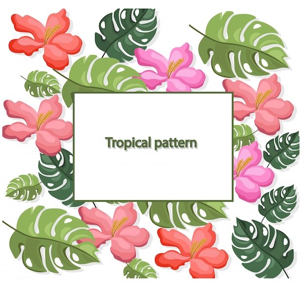 Tropic leaves pattern vector illustrations background colorful