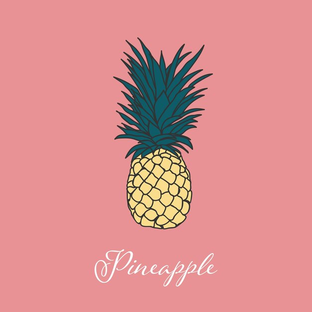 Tropic Pineapple isolated object Vector element design Handdrawn element