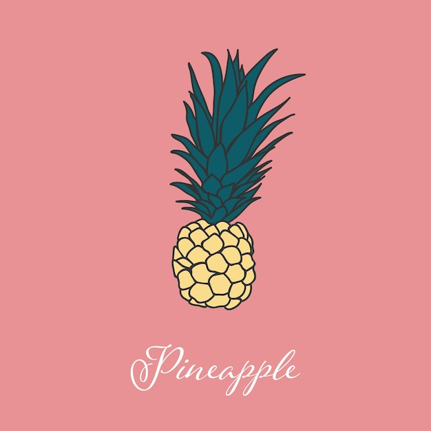 Tropic pineapple isolated object vector element design handdrawn element