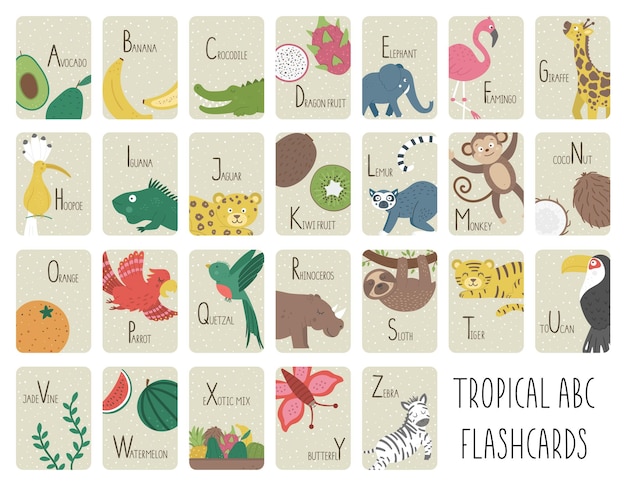 Tropical alphabet cards for children cute cartoon abc set with\
exotic animals birds fruits insects funny jungle flashcards for\
teaching reading or phonics for kids english language letters\
packxa