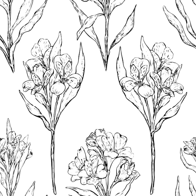 Tropical Alstroemeria flowers. Vintage vector seamless pattern. Hand drawn exotic plants background. Black contour botanical wallpaper for textile, wrapping, fabric.