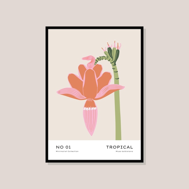 벡터 벽 예술 컬렉션을 위한 열대 및 식물 손으로 그린 인쇄 포스터