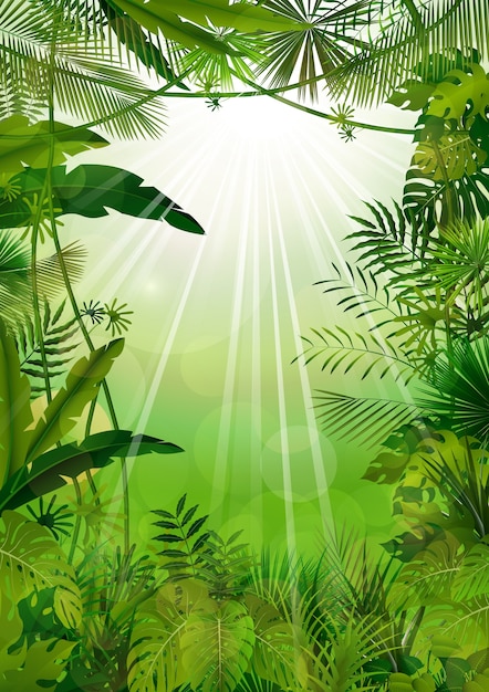 Vector tropical background beautiful