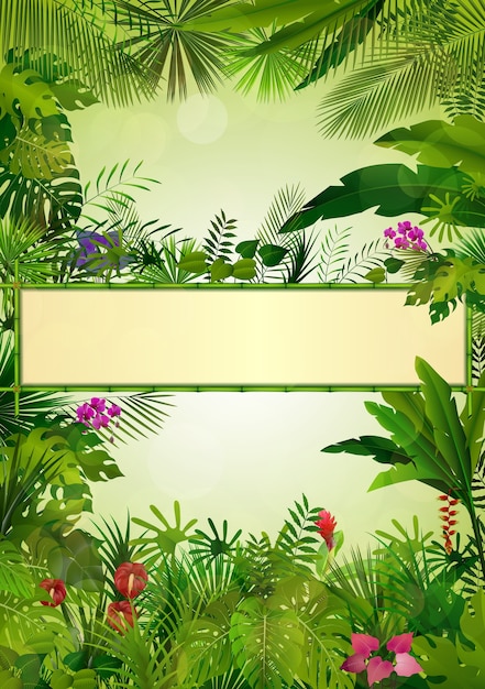 Tropical background beautiful