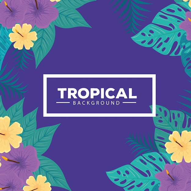 Tropical background, hibiscus yellow and purple color, with branches and leaves plants