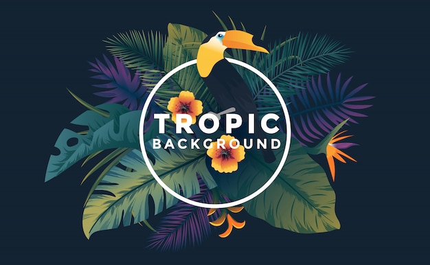 Tropical background with frame