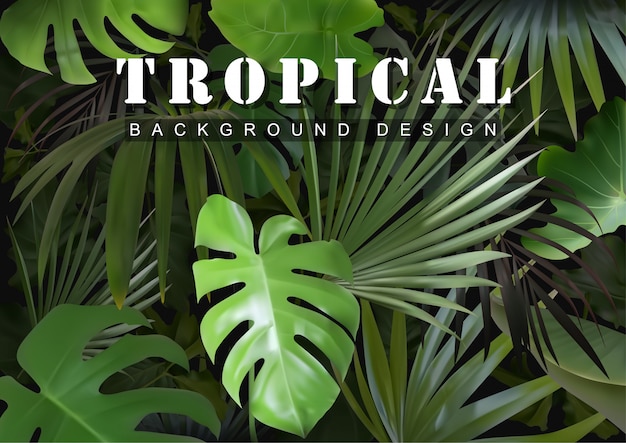 Tropical background with jungle plants