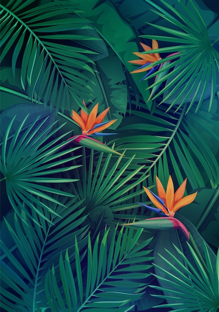 Tropical background with leaves and flowers. jungle exotic strelitzia, banana leaf, philodendron and areca palm.