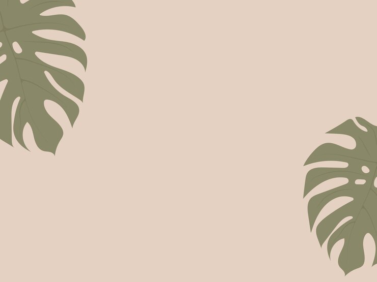 Vector tropical background with monstera leaves abstract backdrop with plant and with copy space for text