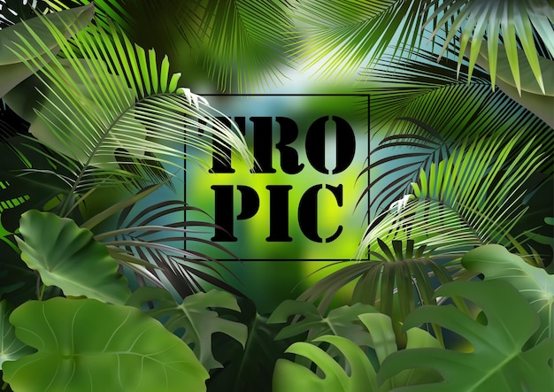 Tropical Background with Photorealistic Vegetation