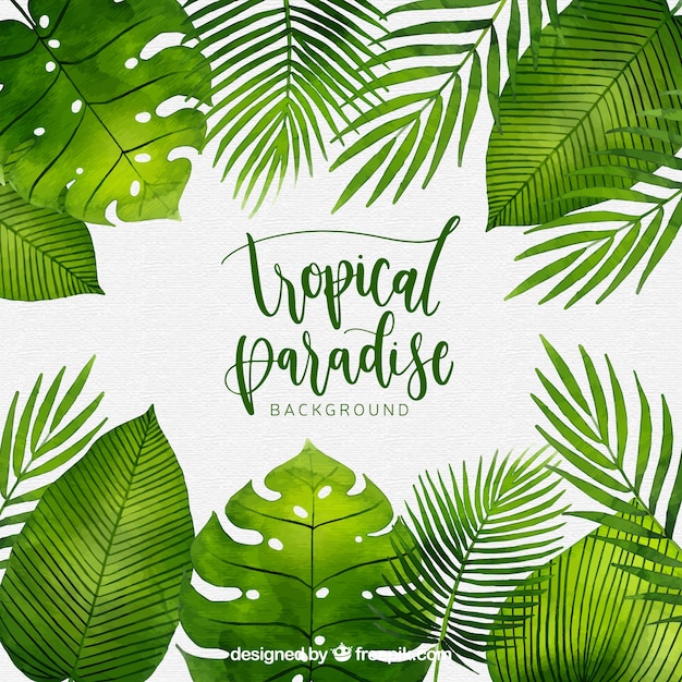 Vector tropical background with watercolor plants