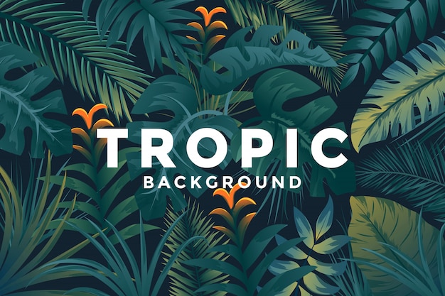 Vector tropical background