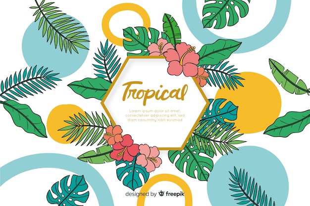 Vector tropical background