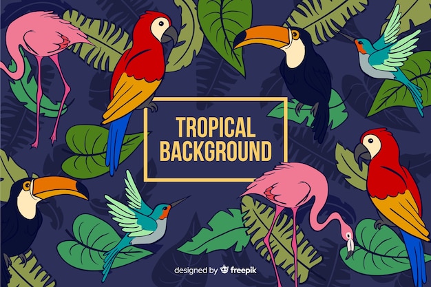 Vector tropical background