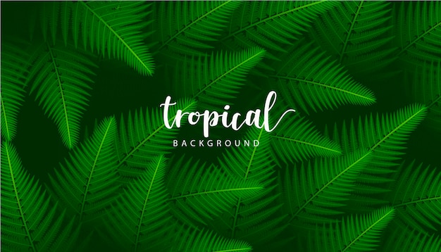 Vector tropical background