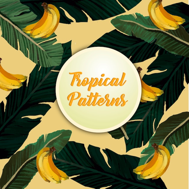 Vector tropical banana