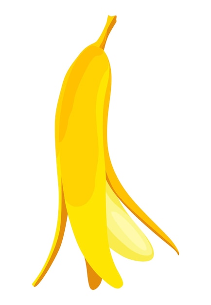 Tropical bananas palm ripe peeled fruit Vector design isolated element Fresh natural food