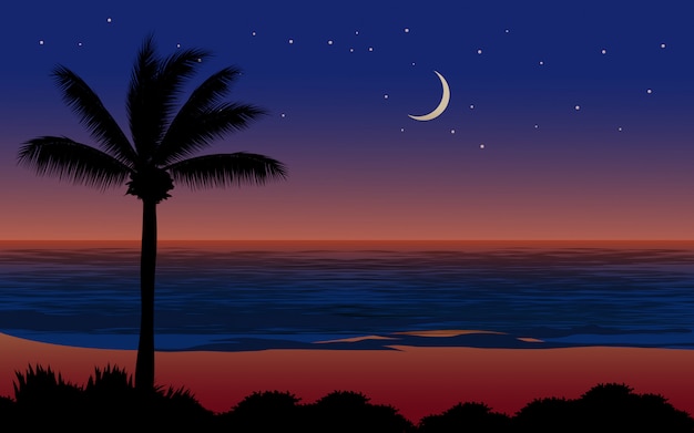 Vector tropical beach beautiful night with moon and stars