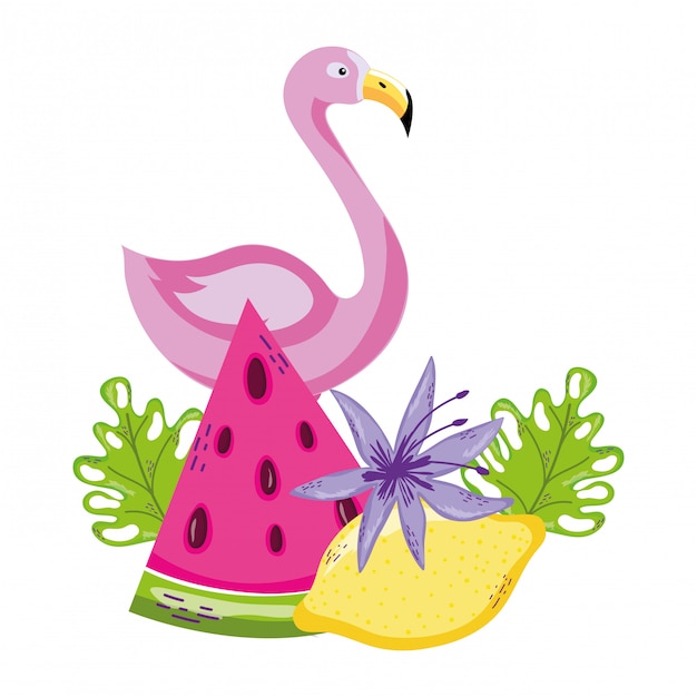 Tropical bird flamingo cartoon