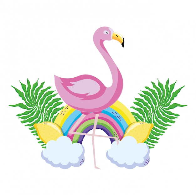 Tropical bird flamingo cartoon