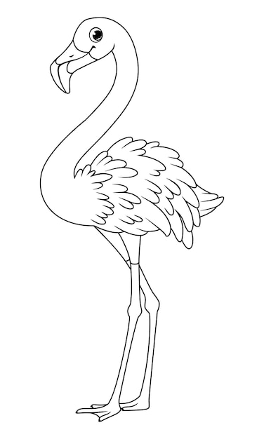 Vector tropical bird greater flamingo outline vector cartoon illustration