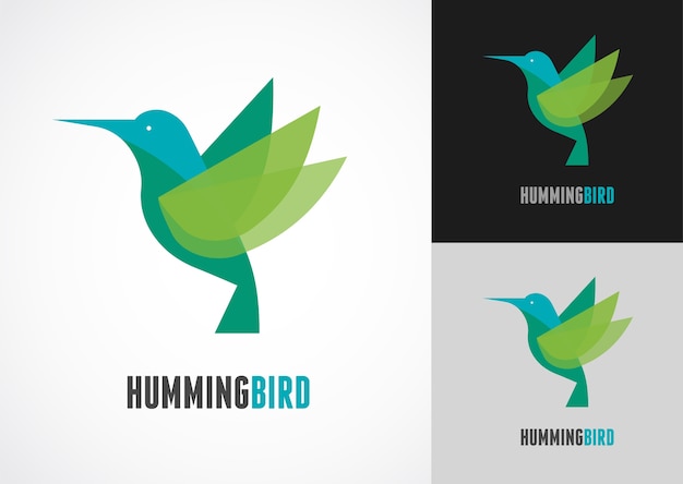 Tropical bird - hummingbird icon set
