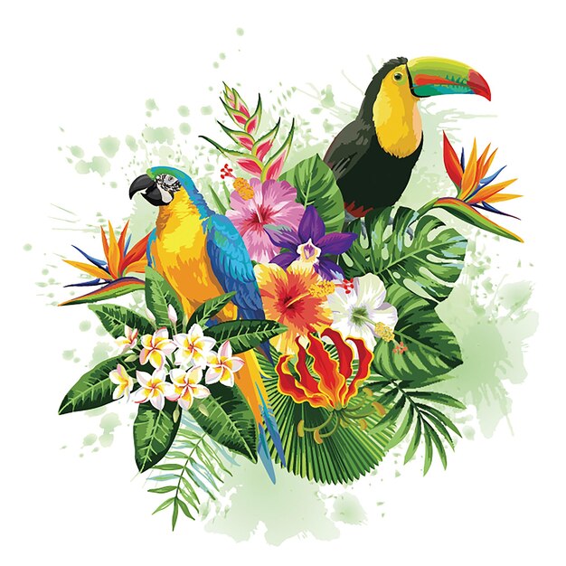 tropical bird illustration