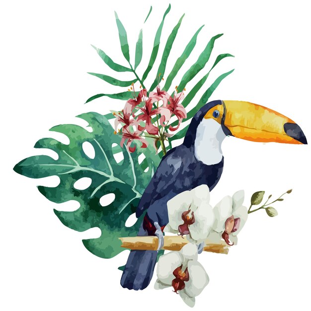 Tropical bird illustration