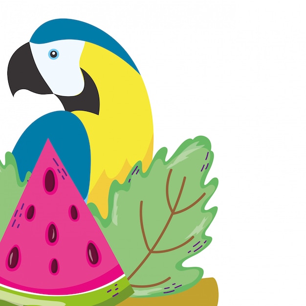 Tropical bird parrot cartoon